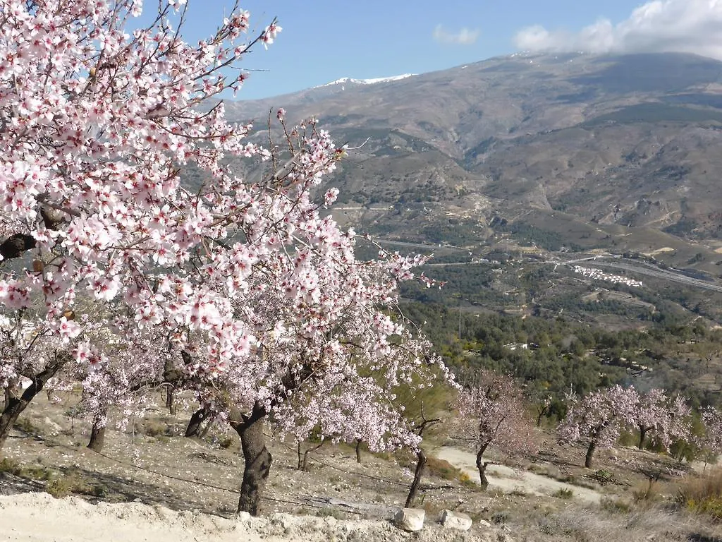 Casa Aire De Lecrin Bed & Breakfast Pinos del Valle Spain